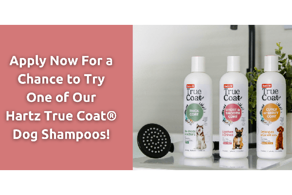 Free Hartz True Coat® Dog Shampoo